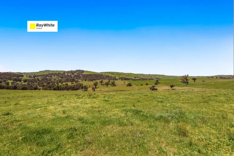 1260 Wondalga Road, Adelong NSW 2729