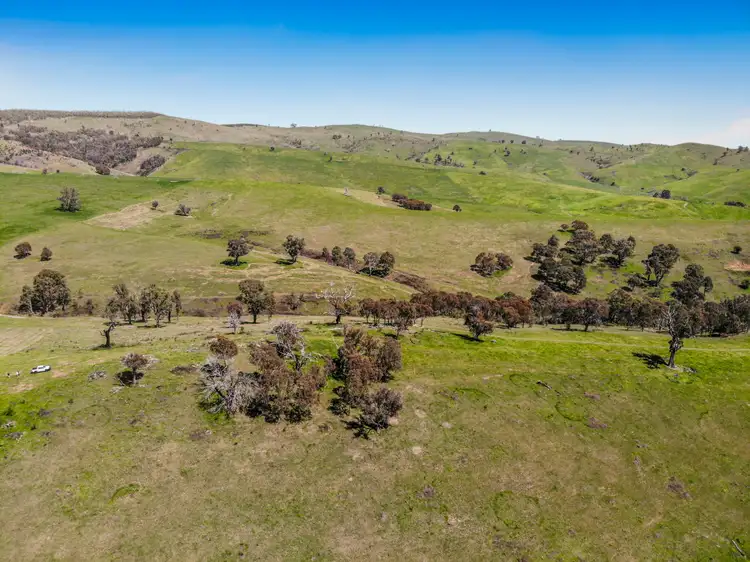 Second view of Homely rural property listing, 1260 Wondalga Road, Adelong NSW 2729