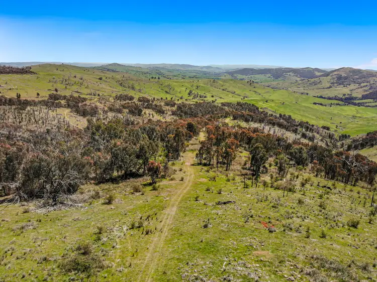 Third view of Homely rural property listing, 1260 Wondalga Road, Adelong NSW 2729