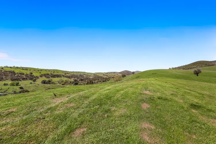 Fourth view of Homely rural property listing, 1260 Wondalga Road, Adelong NSW 2729