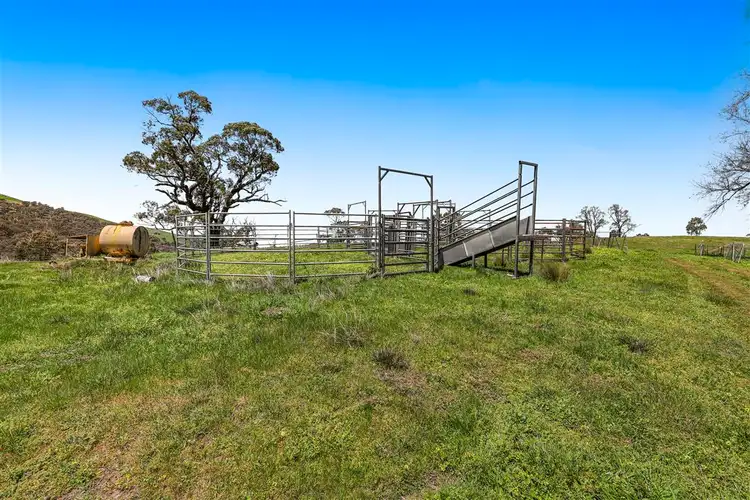Seventh view of Homely rural property listing, 1260 Wondalga Road, Adelong NSW 2729
