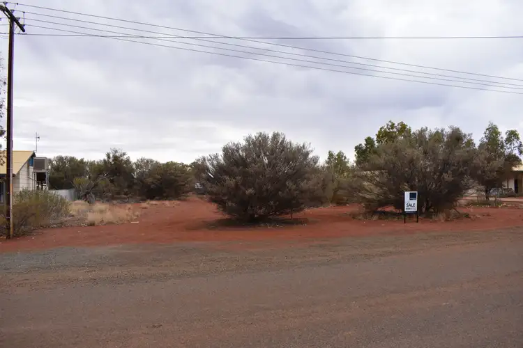 17 Curlew Street, Marla SA 5724