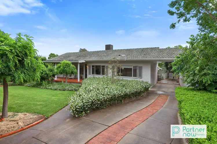 50 Murray Street, Tamworth NSW 2340