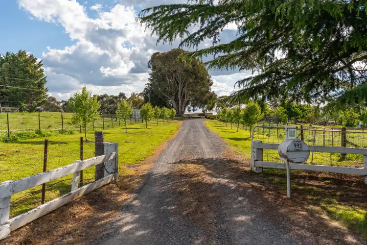 Fourth view of Homely rural property listing, 993 Cargo Road, Orange NSW 2800