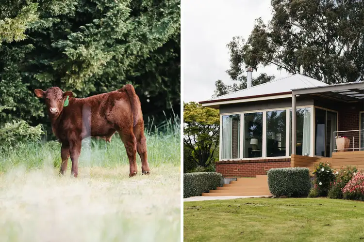 Sixth view of Homely rural property listing, 993 Cargo Road, Orange NSW 2800