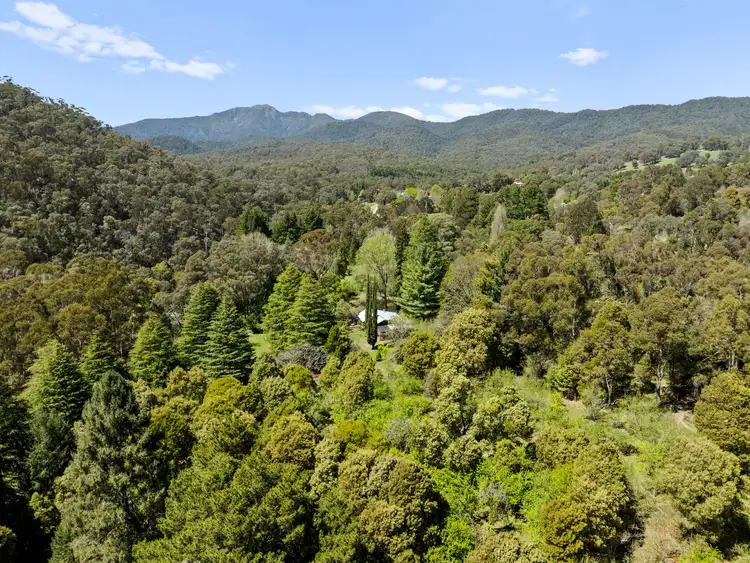 2730 Mt Buller Road, Merrijig VIC 3723