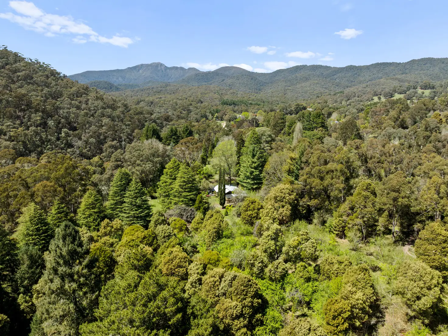 Main view of Homely house listing, 2730 Mt Buller Road, Merrijig VIC 3723