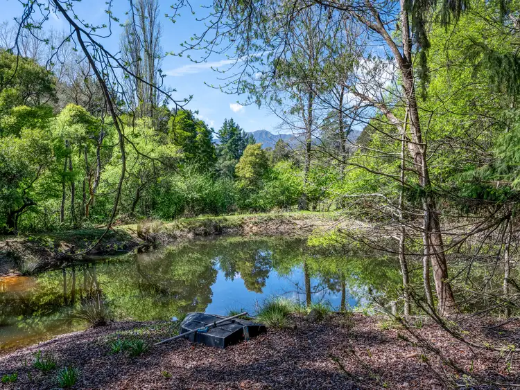 Fifth view of Homely house listing, 2730 Mt Buller Road, Merrijig VIC 3723