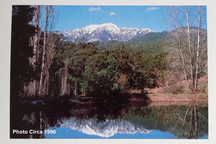 Sixth view of Homely house listing, 2730 Mt Buller Road, Merrijig VIC 3723