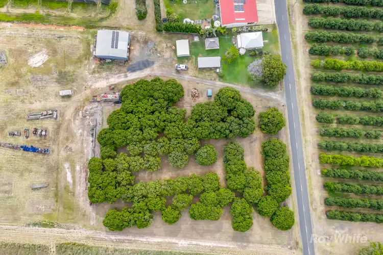 Fifth view of Homely house listing, 251 Mahogany Creek Road, Elliott QLD 4670