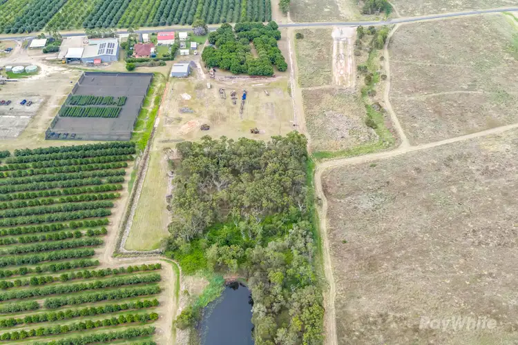 Sixth view of Homely house listing, 251 Mahogany Creek Road, Elliott QLD 4670