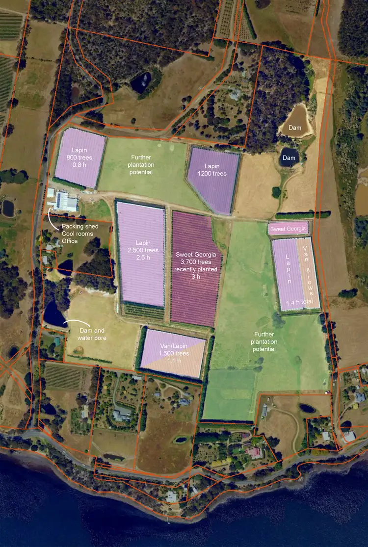 Fourth view of Homely house listing, 627 Silver Hill Road, Lower Wattle Grove TAS 7109