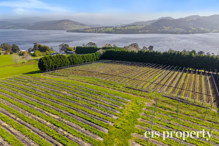 Fifth view of Homely house listing, 627 Silver Hill Road, Lower Wattle Grove TAS 7109