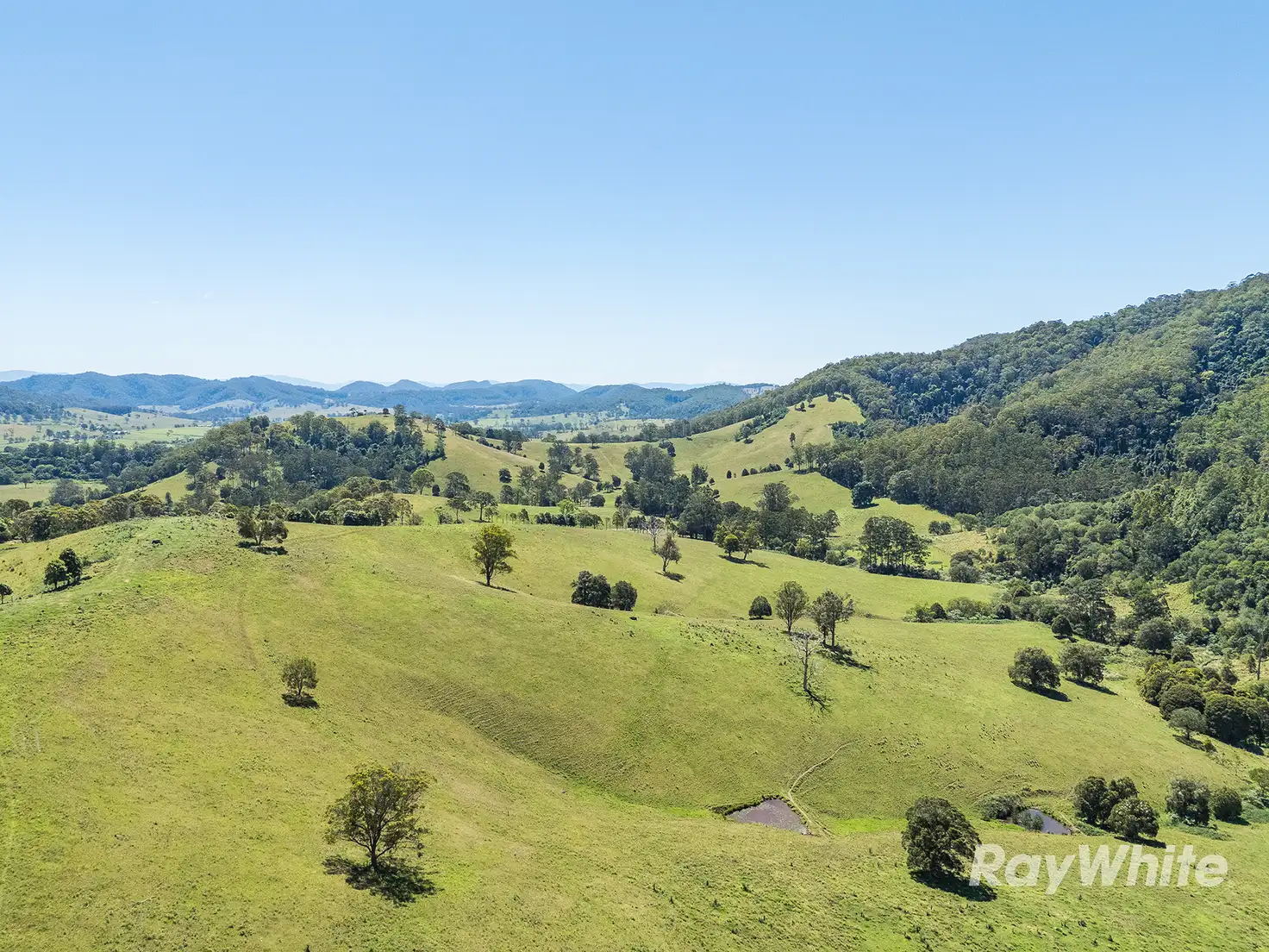 Main view of Homely rural property listing, 1989 Waukivory Road, Waukivory via, Gloucester NSW 2422