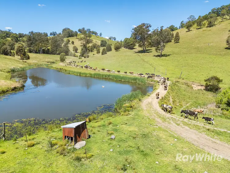 Third view of Homely rural property listing, 1989 Waukivory Road, Waukivory via, Gloucester NSW 2422