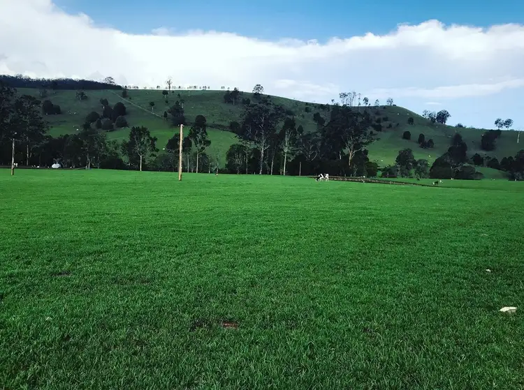 Fifth view of Homely rural property listing, 1989 Waukivory Road, Waukivory via, Gloucester NSW 2422