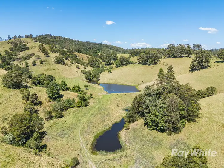 Fifth view of Homely rural property listing, 1989 Waukivory Road, Waukivory via, Gloucester NSW 2422