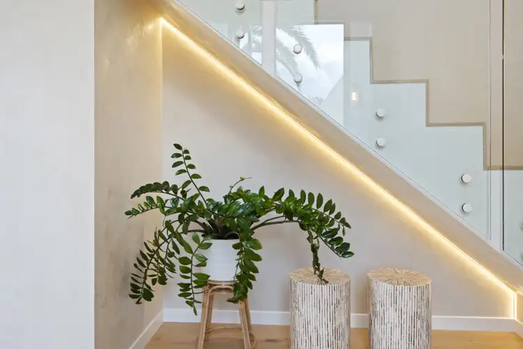 Fourth view of Homely house listing, 8 Rumrunner Street, Mermaid Waters QLD 4218