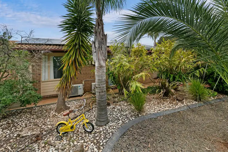 2 Conley Street, Evanston Gardens SA 5116