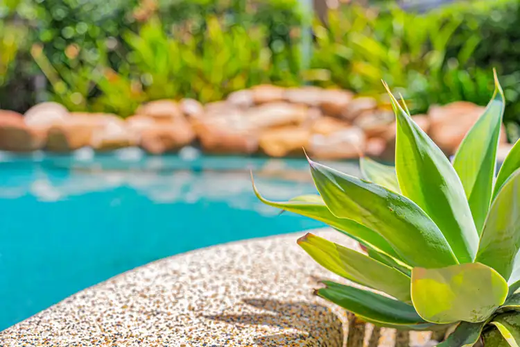 Second view of Homely house listing, 31 Porter Avenue, Kirwan QLD 4817