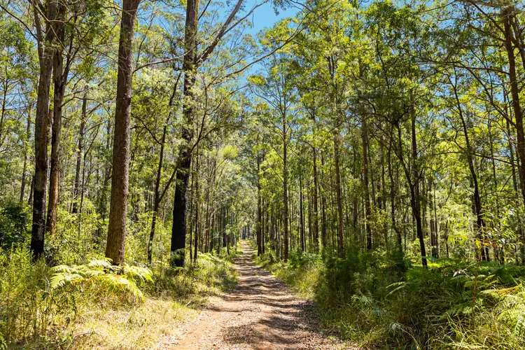 "Wombalinger" Kilcoy - Murgon Road