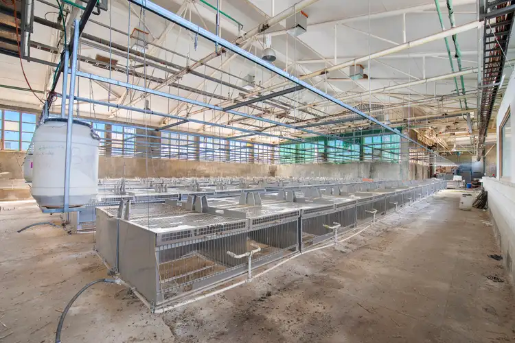 Seventh view of Homely rural property listing, 4410 New England Highway, Guyra NSW 2365