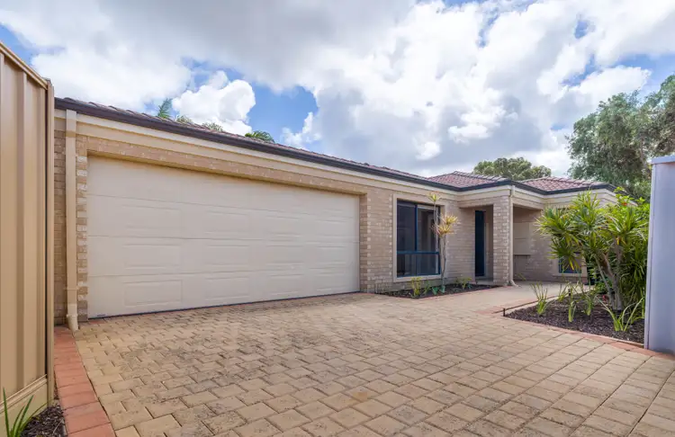 6 Fig Close