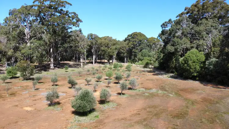 Sixth view of Homely rural property listing, 166 Redgate Road, Witchcliffe WA 6286