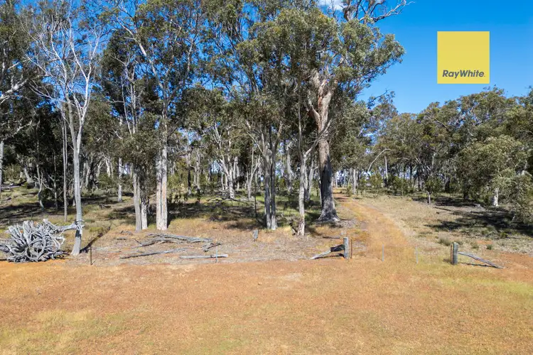 Seventh view of Homely rural property listing, 7 Maltrup Road, Dinninup WA 6244