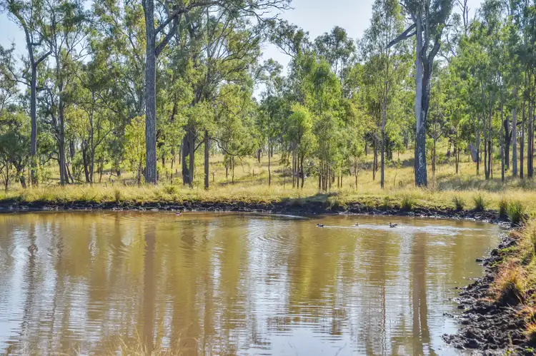 Second view of Homely rural property listing, 515 Coleyville Road, Coleyville QLD 4307