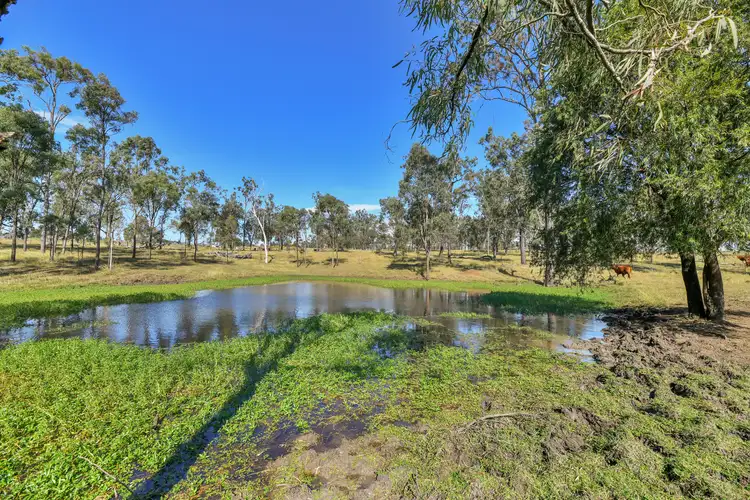 Fifth view of Homely rural property listing, 515 Coleyville Road, Coleyville QLD 4307