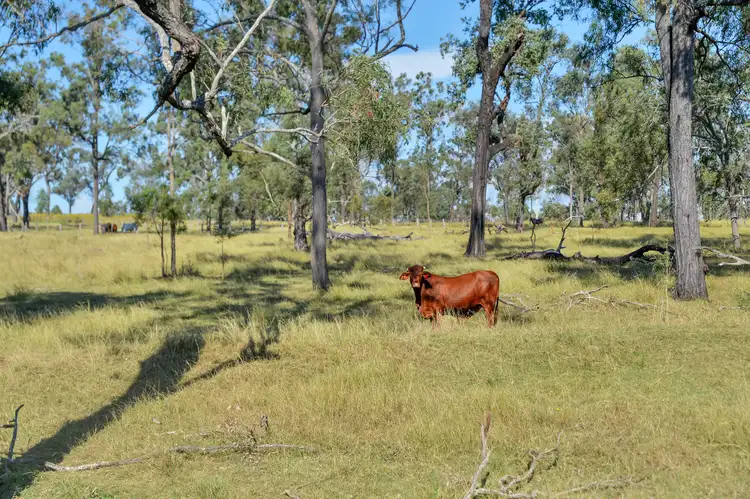 Sixth view of Homely rural property listing, 515 Coleyville Road, Coleyville QLD 4307