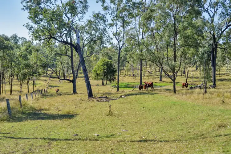 Seventh view of Homely rural property listing, 515 Coleyville Road, Coleyville QLD 4307