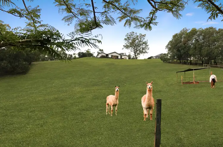 Third view of Homely rural property listing, 43 Boogard Place, Clagiraba QLD 4211