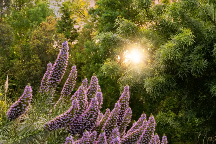 Third view of Homely house listing, 25 Taylors Road, Mount Macedon VIC 3441