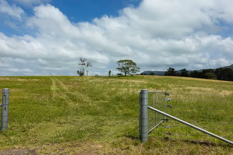 Fourth view of Homely land listing, 510 Princes Highway, Jaspers Brush NSW 2535