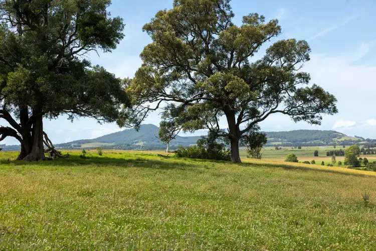 Fifth view of Homely land listing, 510 Princes Highway, Jaspers Brush NSW 2535