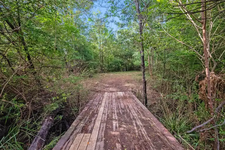 Fifth view of Homely rural property listing, 867 Mandalong Road, Mandalong NSW 2264