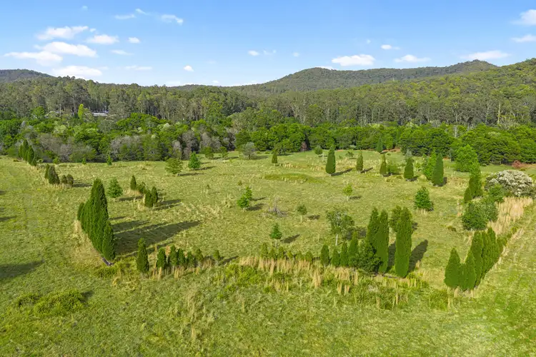 Sixth view of Homely rural property listing, 867 Mandalong Road, Mandalong NSW 2264