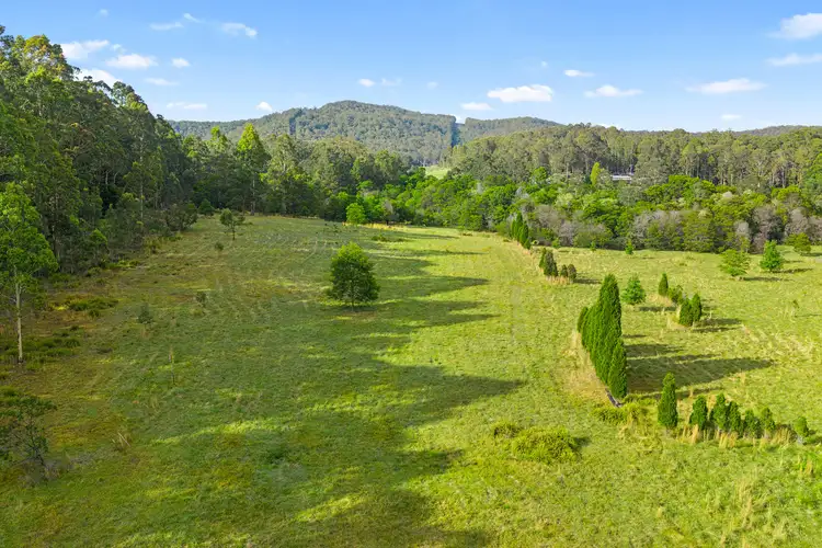 Seventh view of Homely rural property listing, 867 Mandalong Road, Mandalong NSW 2264