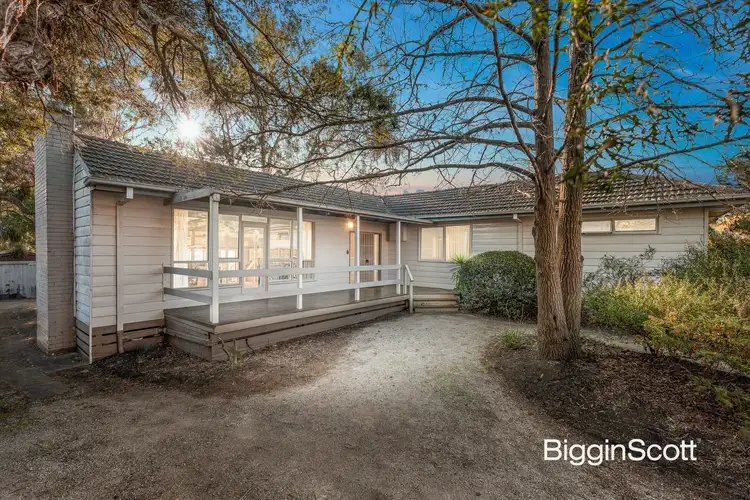 19 Shirley Avenue, Glen Waverley VIC 3150