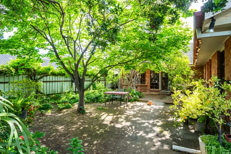 Sixth view of Homely house listing, 20 Blair Street, Culcairn NSW 2660