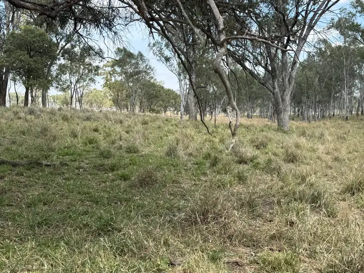 Sixth view of Homely rural property listing, "Glenhurst" Tarwoona  Road, Twin Rivers NSW 2410