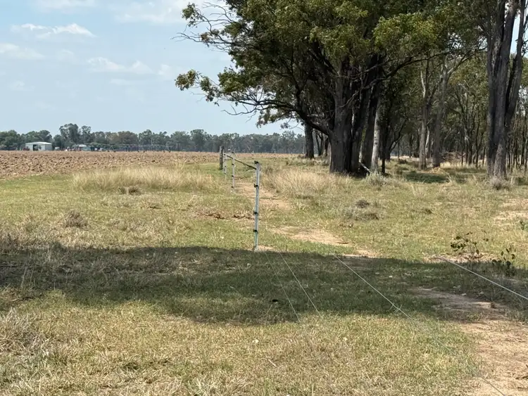 Seventh view of Homely rural property listing, "Glenhurst" Tarwoona  Road, Twin Rivers NSW 2410