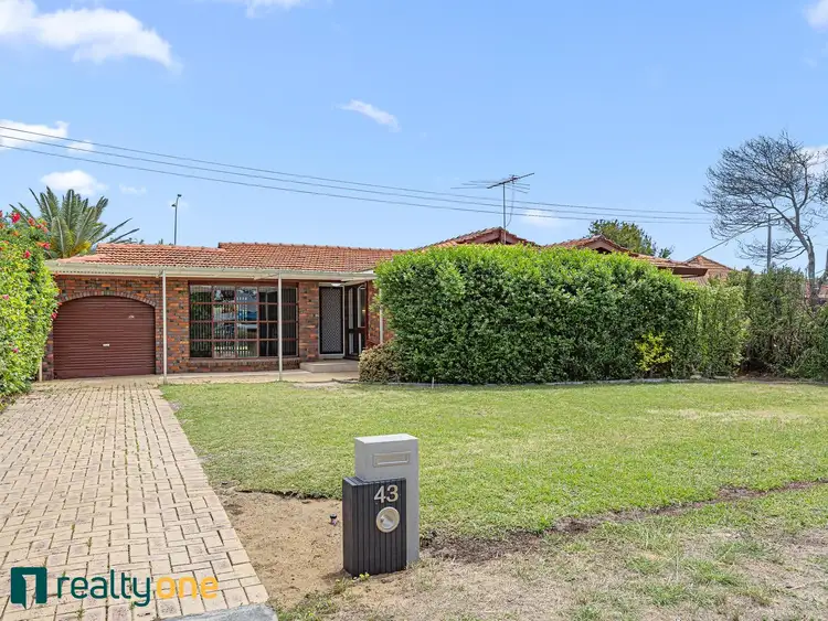 43 Piercy Way, Kardinya WA 6163
