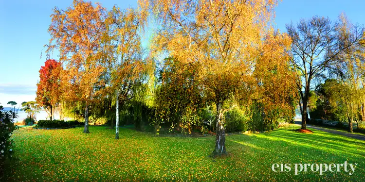 Fifth view of Homely house listing, 50 Esplanade Road, Cygnet TAS 7112