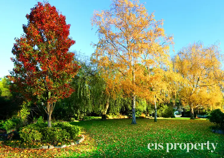 Sixth view of Homely house listing, 50 Esplanade Road, Cygnet TAS 7112