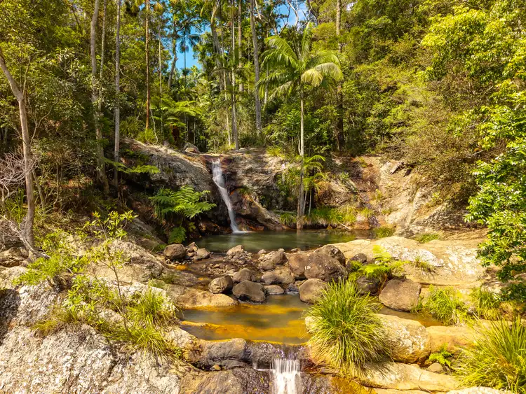 Fourth view of Homely rural property listing, 195-275 Kaiser Road, Tamborine Mountain QLD 4272