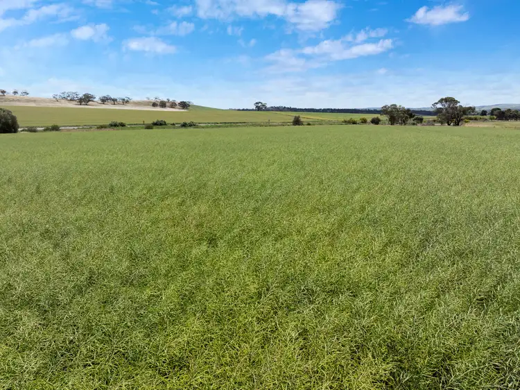 'Parker's' Horrocks Highway