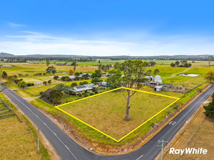 95 Larrys Mountain Road, Moruya NSW 2537